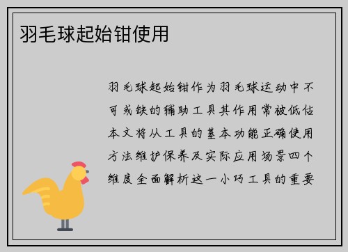 羽毛球起始钳使用